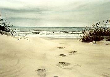 Footprints